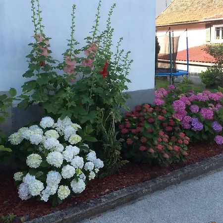 Le 1602 Dom wakacyjny *